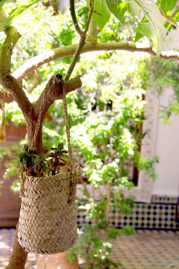 Riad Malida マラケシュ エクステリア 写真